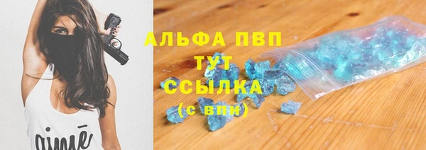 прущие грибы Бежецк