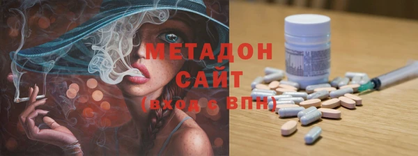 прущие грибы Бежецк