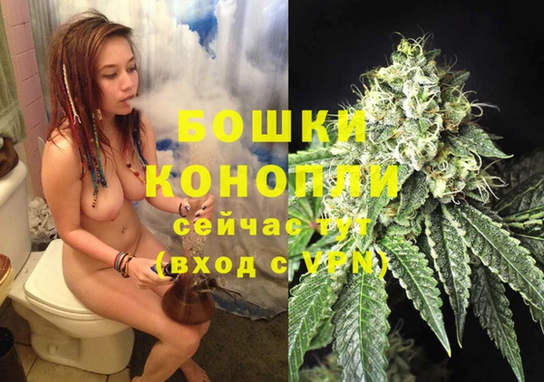 spice Белая Холуница
