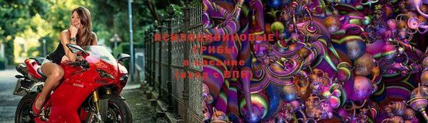 mdma Сочи