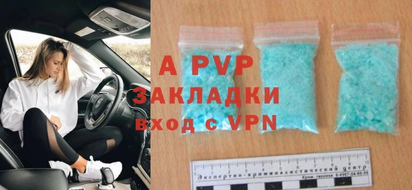 стаф Домодедово
