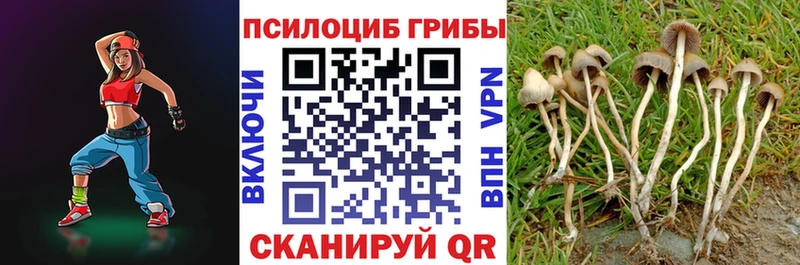 Псилоцибиновые грибы Magic Shrooms  Белоярский 